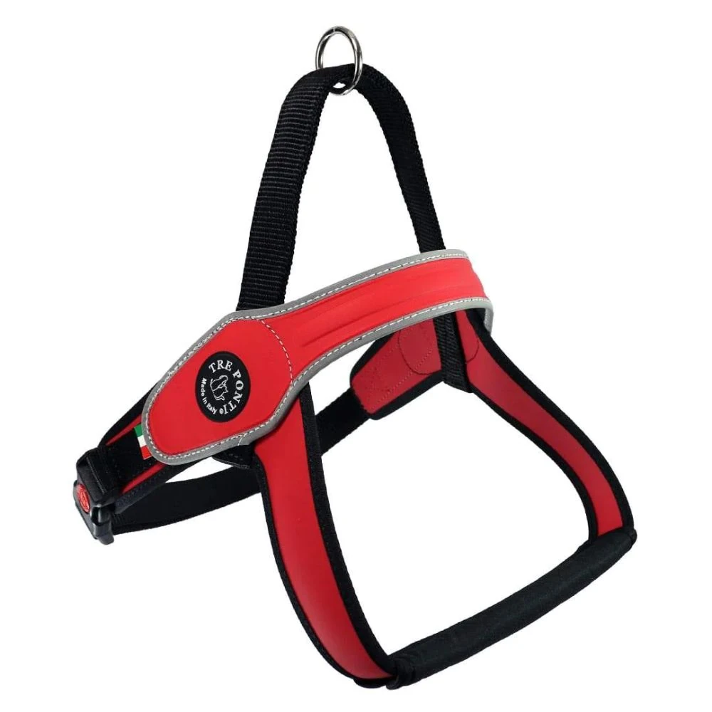 best dog leads safety compliance Australian regulations