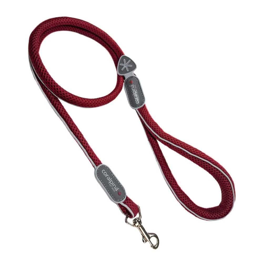 best dog leash australia - Professional Guide and Review