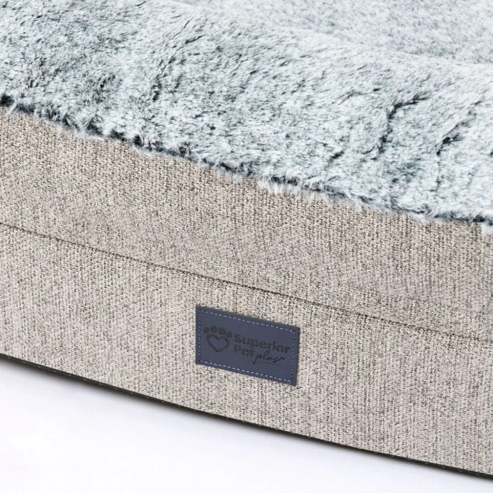 dog saddle bag harness with reflective strips on a blue heeler at sunrise in the Australian bush