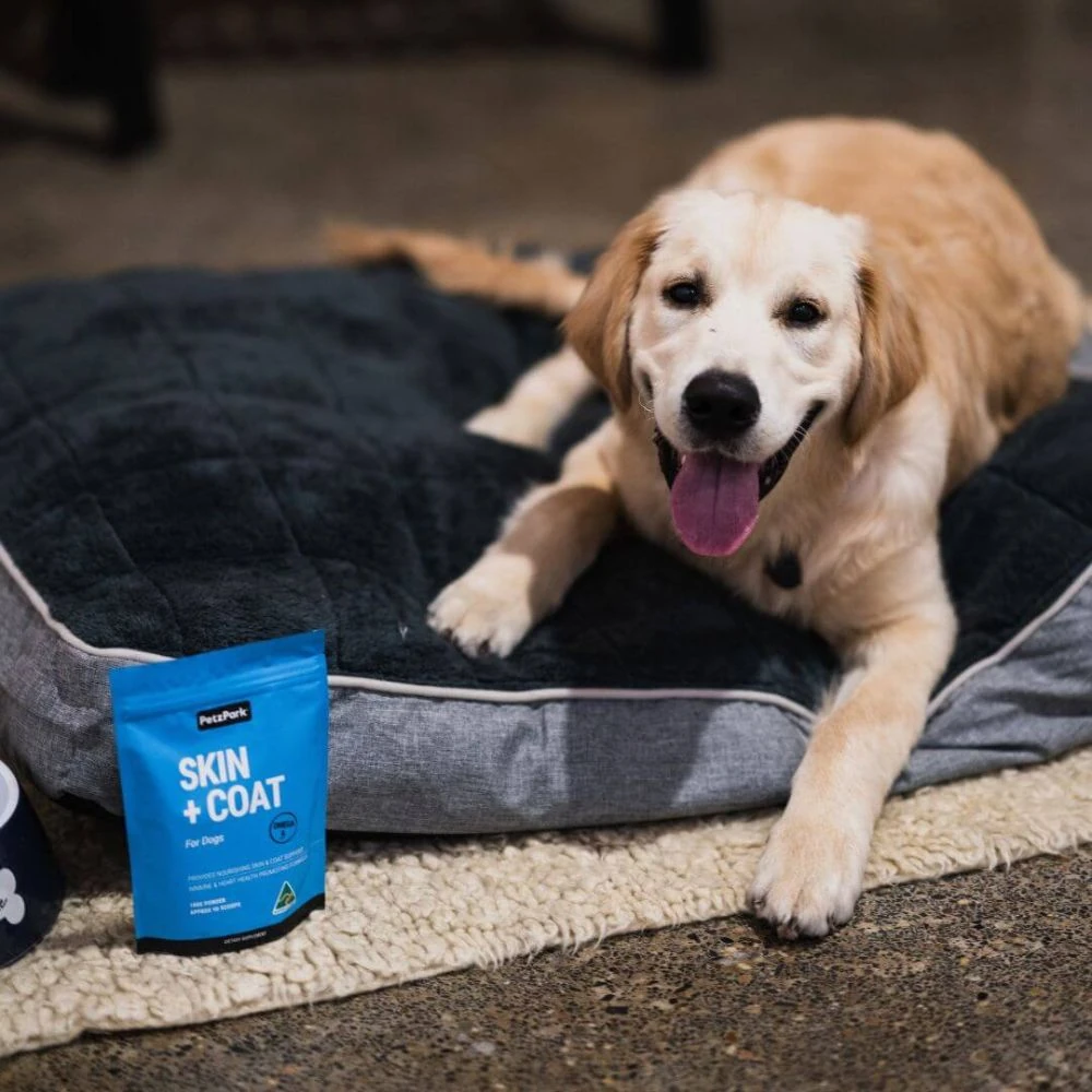 Comparison of different dog saddle bag styles and sizes