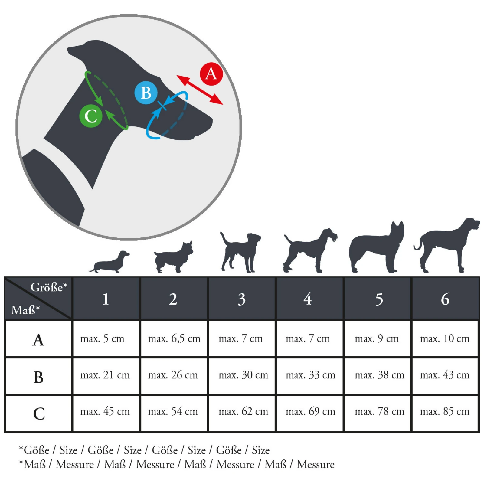 Proper loading technique demonstration for dog trailers with safety harnesses