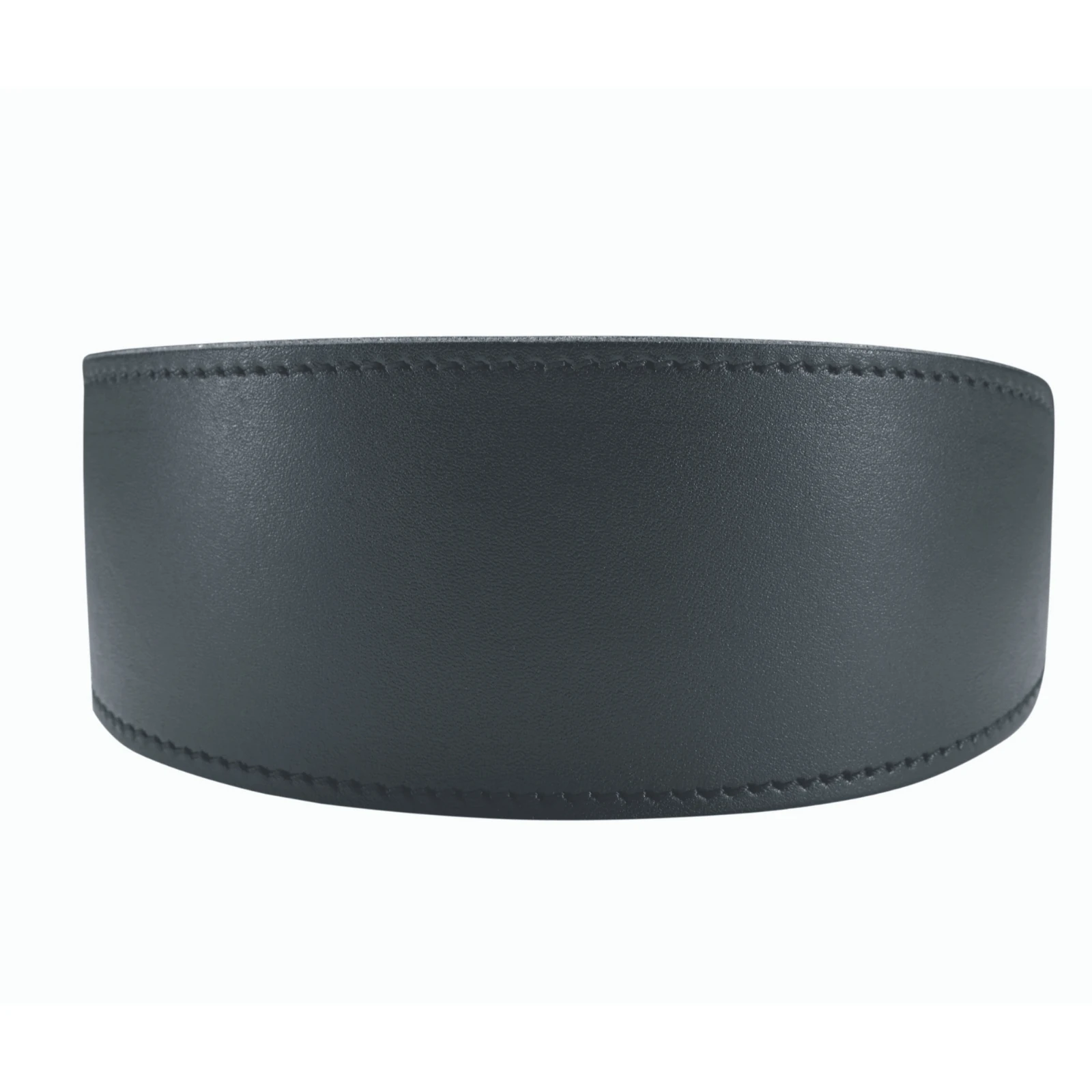 feeder set anatomy showing bowl depth and whisker clearance for cats and dogs