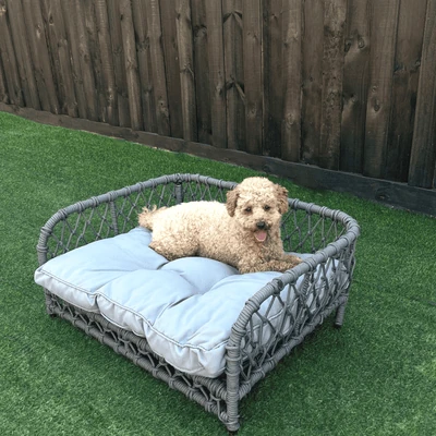wicker dog beds with spray bottle cleaning routine
