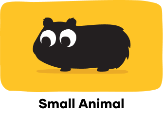 cat collar leather width comparison chart