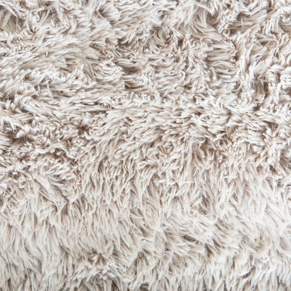 Interior view of premium dog trailers showing climate control and safety features