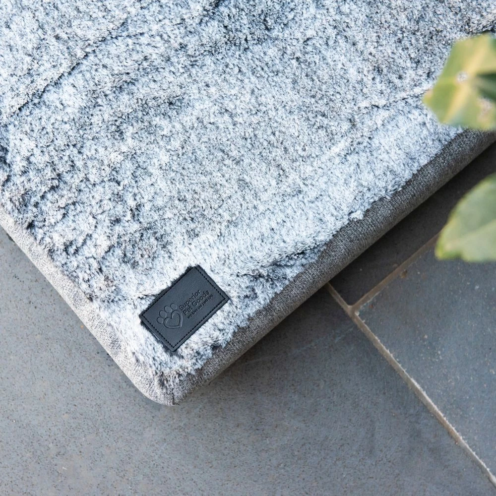 dog collar with airtag - Professional Guide and Review